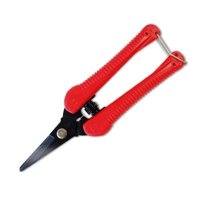 購入 SINSEUNG P4 プラスチックハンドル SK5 高炭素鋼の剪定 オンライン製造