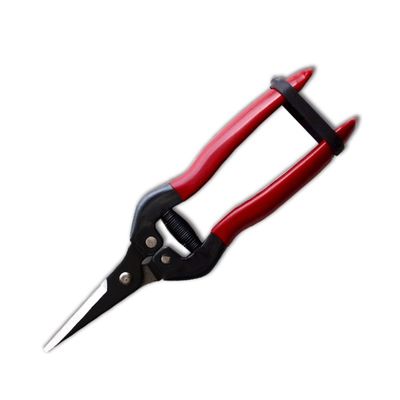 購入 SINSEUNG X3 ハードウェア・シーザー 刃の先端にアルカリ性黒色染料のコーティング オンライン製造