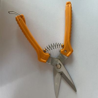 購入 エルゴノミック オフィス シール ブリスターカード オンライン製造