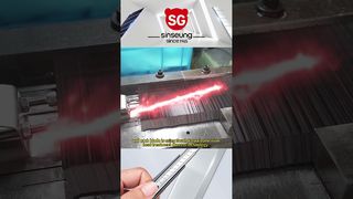 260109 1 シンスンビデオ