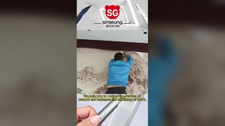 260113-1 シンスンビデオ