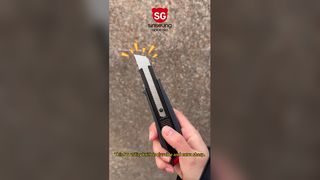 260113-4 シンスンビデオ