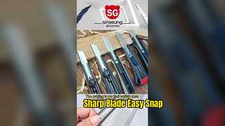 260114-1 シンスンビデオ