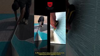 260109 2 シンスンビデオ